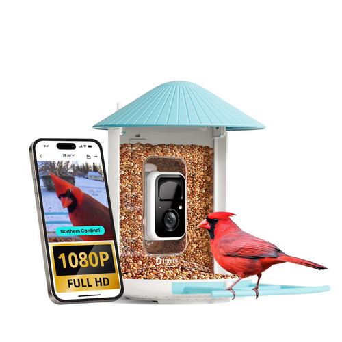 Birdfy smart bird - bird, with