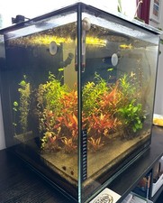 Aqua One Nano reef 80 Aquarium ￼