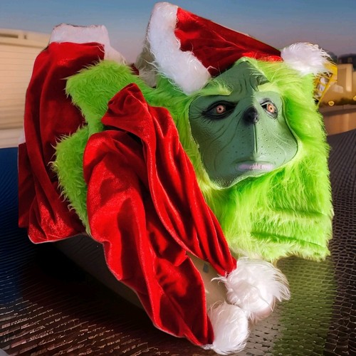 Grinch santa christmas - santa,