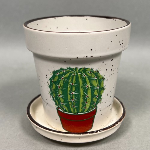 Cute pink easter lily cactus - cute,