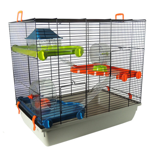 Little friends hamster - little, gerbil