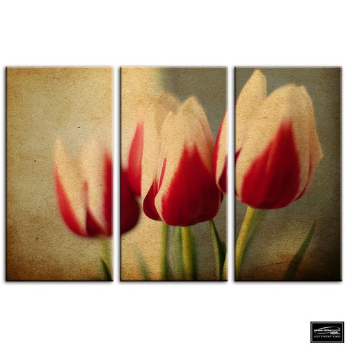 Tulips flowers floral box - tulips,