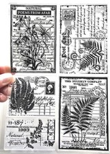 Large Clear Stamps FERN LEAF