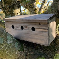 Sparrow Nest Bird Box Terrace Colony House Wooden Roosting Nesting Apartments