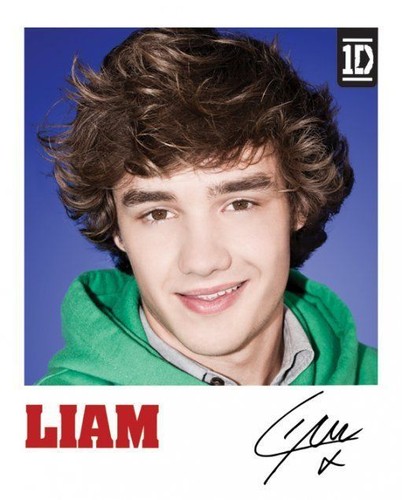 Poster liam one direction - 1d,