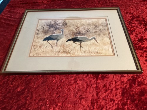 Original paul rose - rose, south