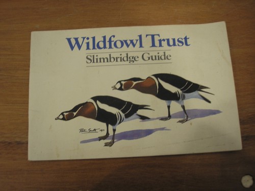 Wildfowl trust slimbridge - wildfowl,