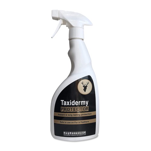 Rugremedy taxidermy animal - rugremedy,
