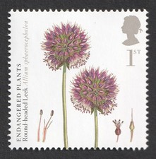 2009 1st Round-Headed Leek