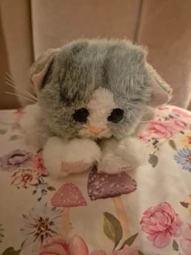 Rare dsi kitty - rare,