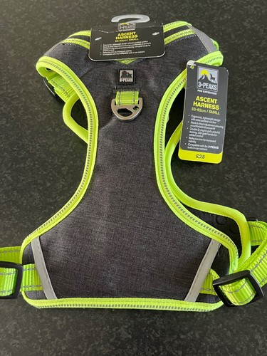 Peaks ascent dog harness - peaks,