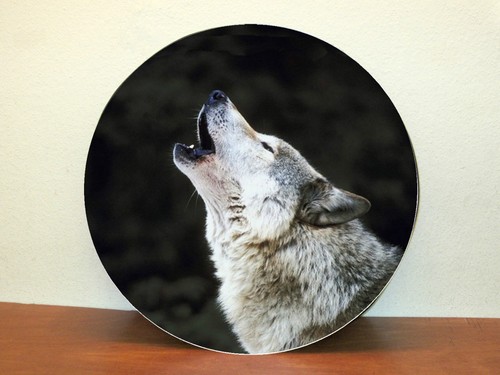 Wolf3 4x4 spare wheel cover - wolf3,