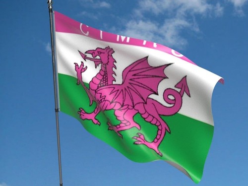 Cymru pink dragon flag 5ftx3ft - cymru-pink,