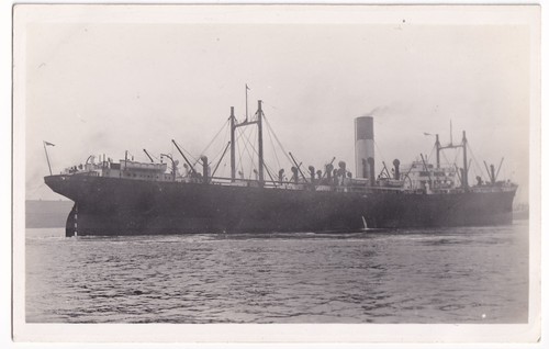 Talthybius blue funnel line - ss,