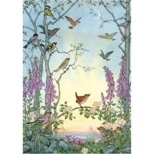 Molly brett dawn chorus - -,