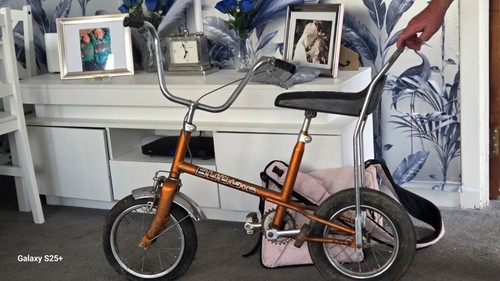 Raleigh budgie vintage bike - raleigh,