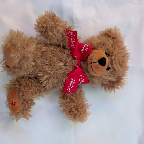 Hamleys london teddy bear - london,