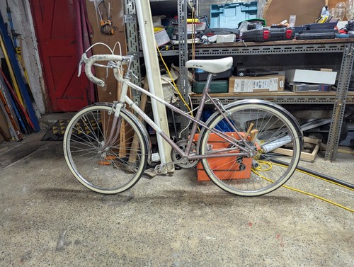 Raleigh vintage bike - vintage,