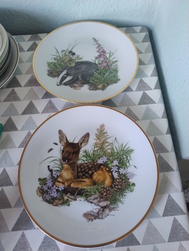 Deer badger decorative - &,