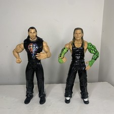 WWE Matt & Jeff Hardy Hardy