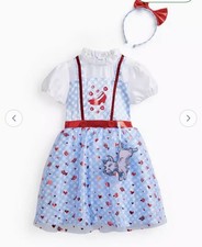 Wizard of oz Dorothy Dress