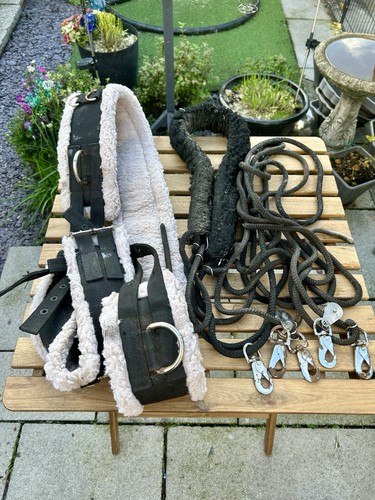Shires lunging aid - , pessoa