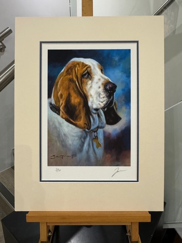 John trickett hang dog - trickett,