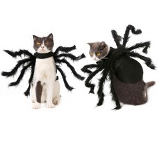 *Halloween Dogs Cats Spider