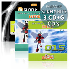 Sunfly Karaoke Hits Triple CDG Set CD+G Discs 46 Chart Hit Tracks Decades Vol 13