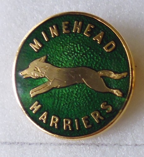 Minehead harriers enamel pin - minehead,