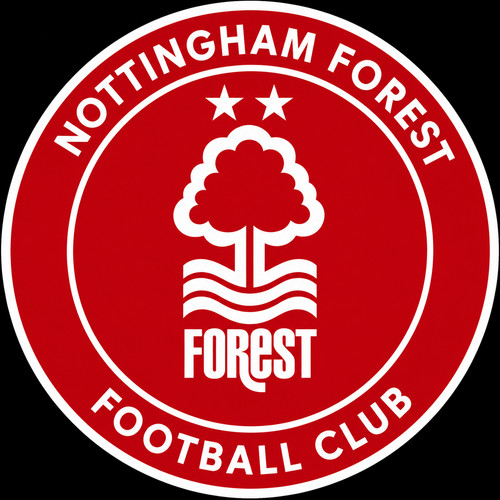 Nottingham forest remote - nottingham,