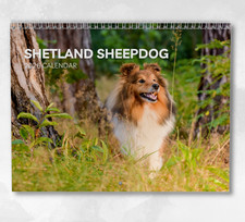 Shetland Sheepdog Calendar