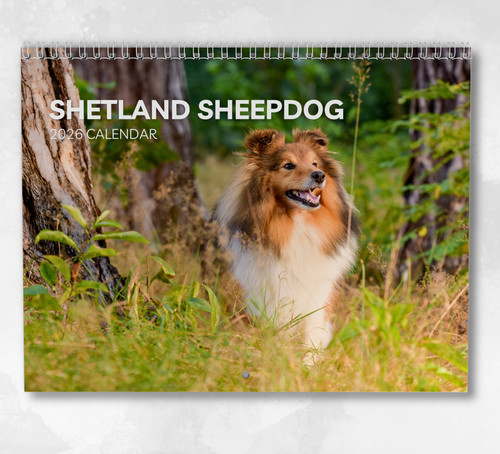 Shetland sheepdog calendar - sheepdog,