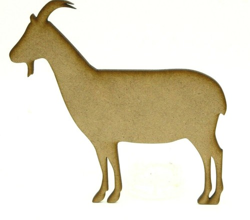 Goat nanny - farm, animal