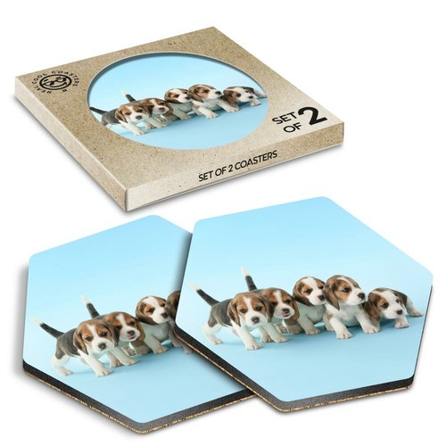 Hexagon coasters beagle - 2,
