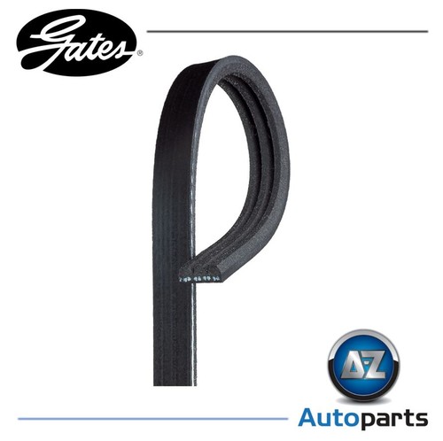 Rib ribbed belt 3pk683 - rib, v-ribbed