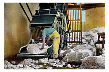 pt0937 - Lancashire Cotton