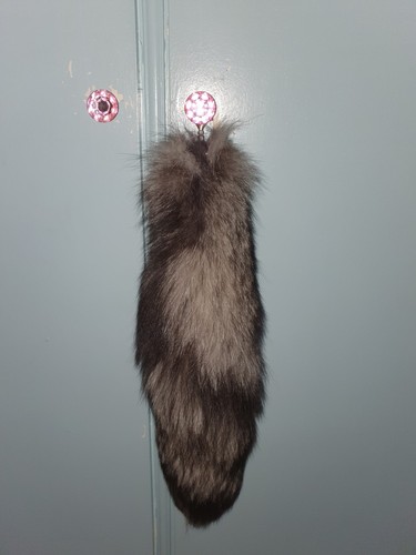 Taxidermy fox tail - taxidermy,