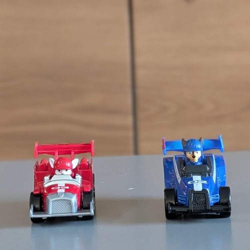 Paw patrol ready race rescue - race,