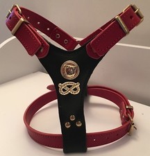 STAFFORDSHIRE-STAFFIE-STAFFY-S