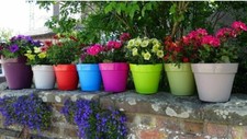 26cm Colourful Planter Pot