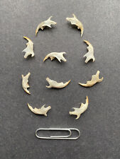 Ten tiny rodent jaw bones from Owl pellets natural history birds animal nature