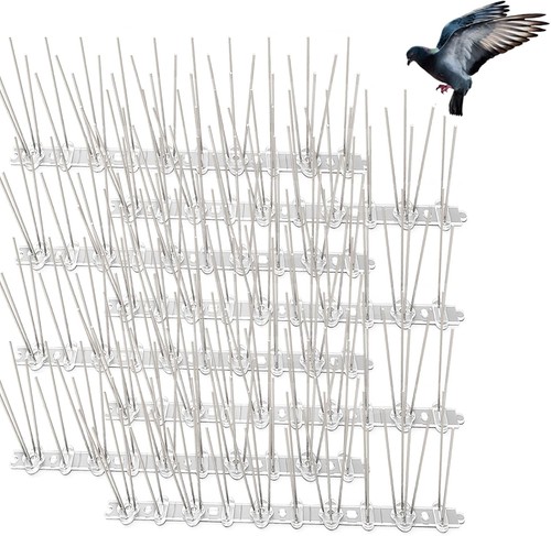 10m pigeon bird - 10m, spikes