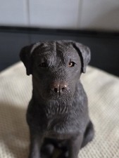 Sandicast Chocolate Labrador