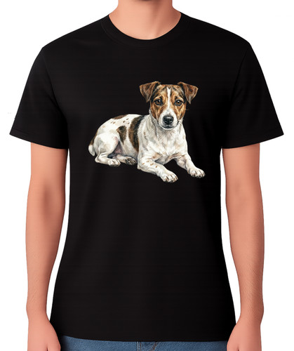 Jack russell terrier - jack, dog