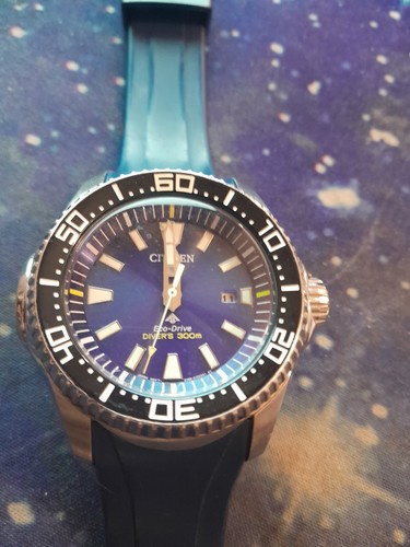 Citizen mens promaster - mens,