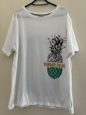 Koala Bay “Wonder Palm”