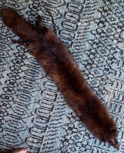 Antique fox fur 1900s - fur,,
