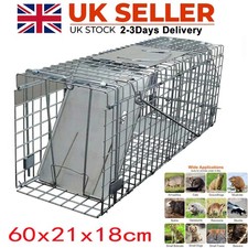 Squirrel trap heavy - squirrel,
