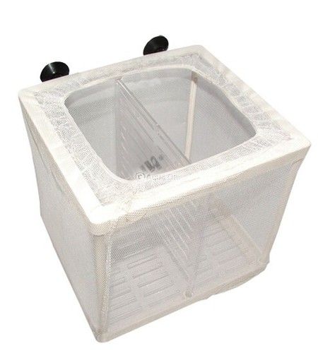 Aquarium net breeder trap - aquarium,